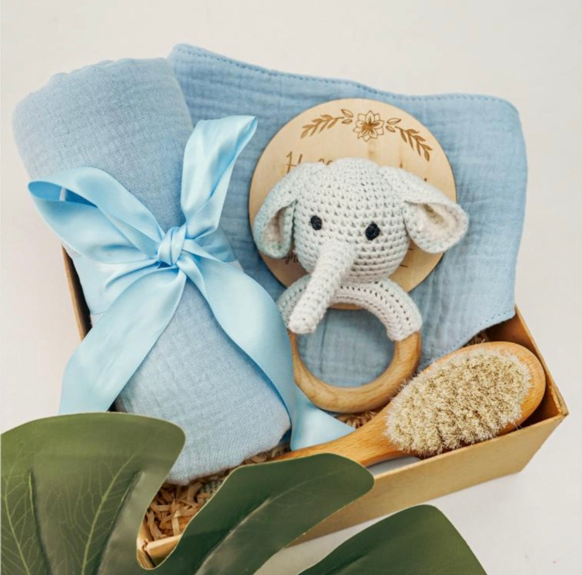 Newborn Gift Box Elephant